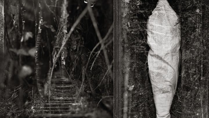 Estuary by Wolves In The Throne Room
