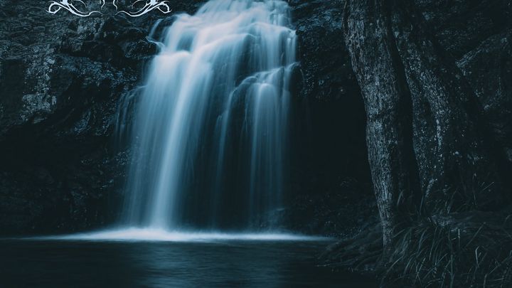 Hymns of Time by Deciduous Forest