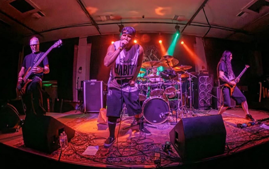 Paralicyst Band